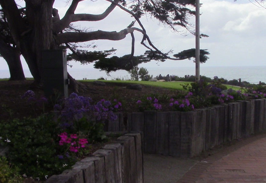 blog-thumb-2